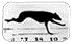 Adopt a Greyhound
